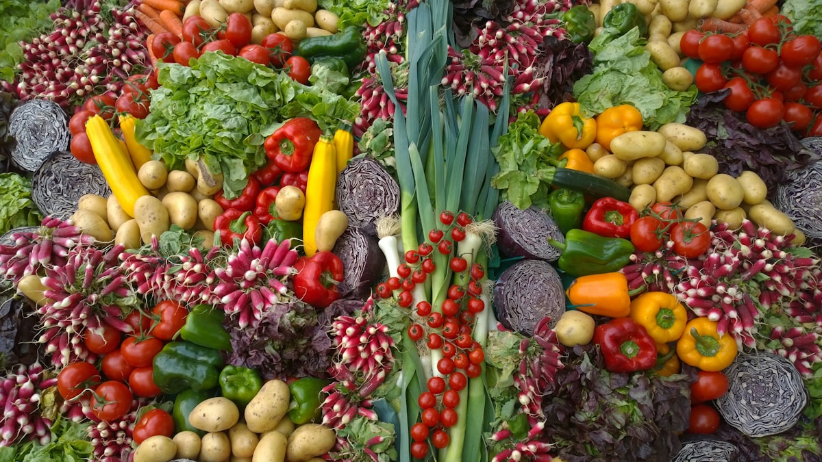 Plant-based and vegetarian nutrition